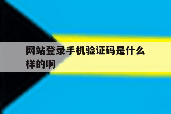 网站登录手机验证码是什么样的啊 网站登录手机验证码是什么样的啊