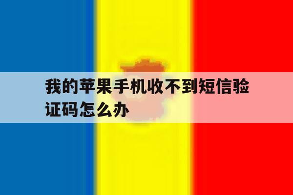 我的苹果手机收不到短信验证码怎么办 我的苹果手机收不到短信验证码怎么办