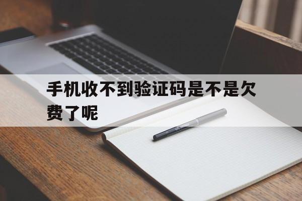 手机收不到验证码是不是欠费了呢 手机收不到验证码是不是欠费了呢