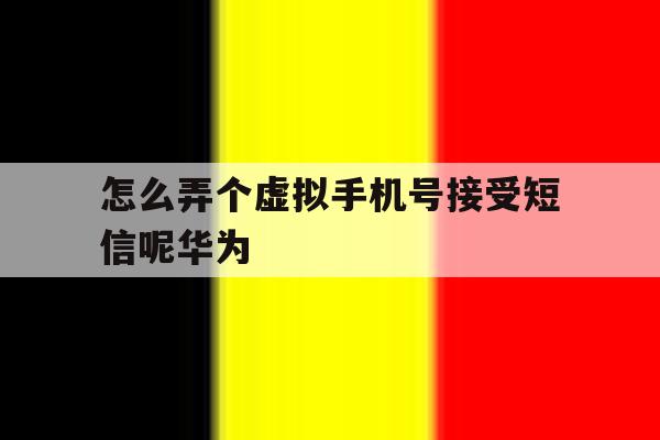 怎么弄个虚拟手机号接受短信呢华为 怎么弄个虚拟手机号接受短信呢华为