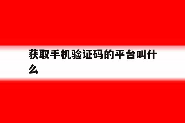 获取手机验证码的平台叫什么 获取手机验证码的平台叫什么