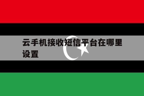 云手机接收短信平台在哪里设置 云手机接收短信平台在哪里设置