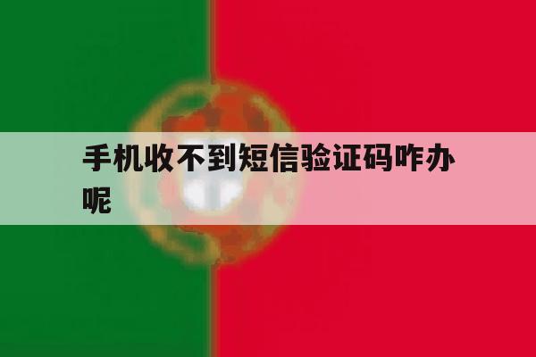 手机收不到短信验证码咋办呢 手机收不到短信验证码咋办呢