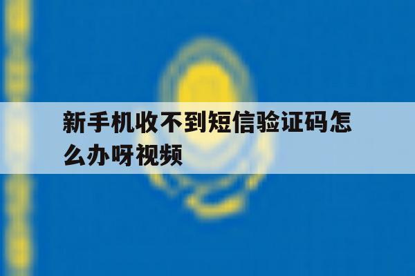 关于新手机收不到短信验证码怎么办呀视频的信息 关于新手机收不到短信验证码怎么办呀视频的信息