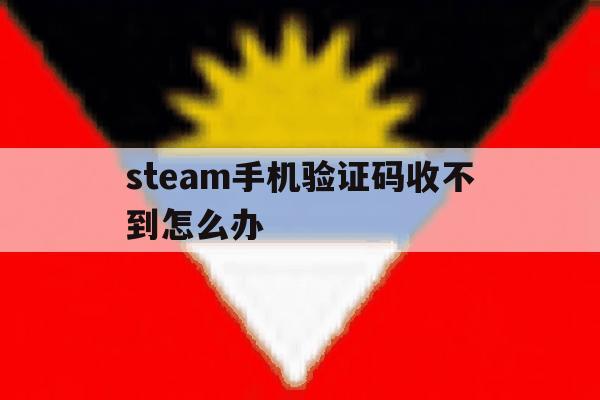 steam手机验证码收不到怎么办 steam手机验证码收不到怎么办