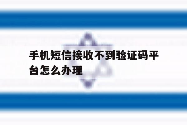手机短信接收不到验证码平台怎么办理 手机短信接收不到验证码平台怎么办理