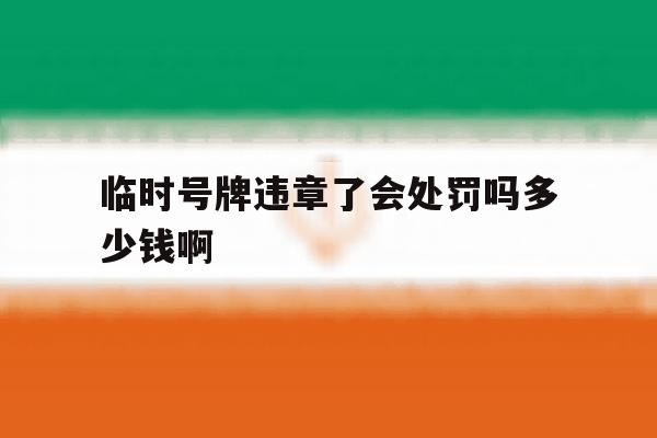 临时号牌违章了会处罚吗多少钱啊 临时号牌违章了会处罚吗多少钱啊