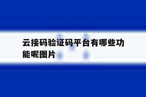 云接码验证码平台有哪些功能呢图片 云接码验证码平台有哪些功能呢图片