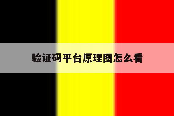 验证码平台原理图怎么看的简单介绍 验证码平台原理图怎么看的简单介绍