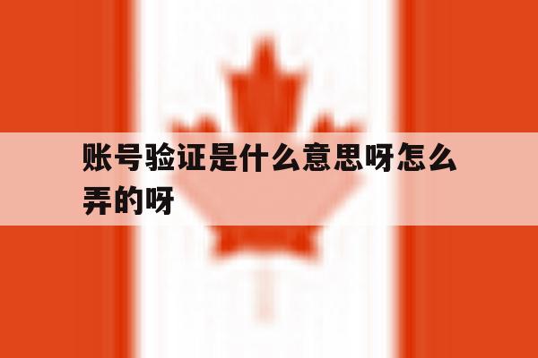 账号验证是什么意思呀怎么弄的呀的简单介绍 账号验证是什么意思呀怎么弄的呀的简单介绍