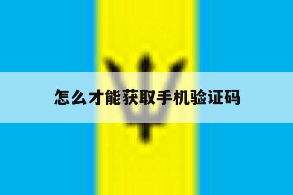 怎么才能获取手机验证码 怎么才能获取手机验证码