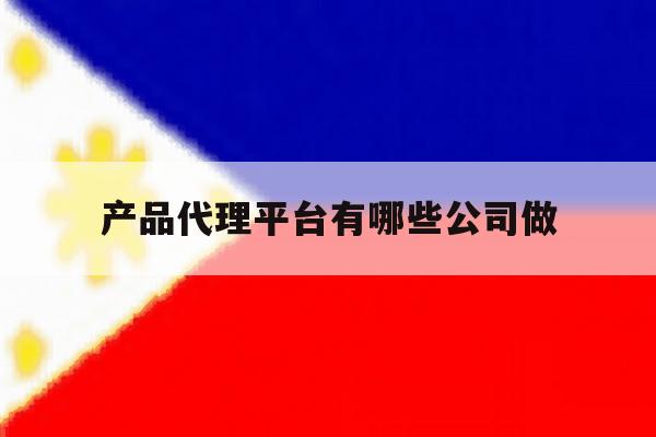 产品代理平台有哪些公司做 产品代理平台有哪些公司做