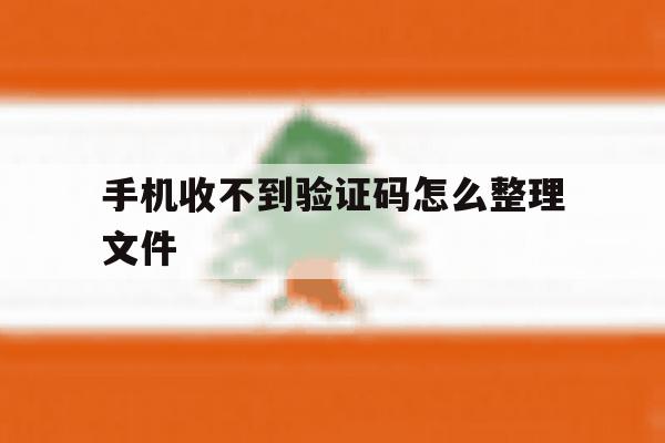 手机收不到验证码怎么整理文件 手机收不到验证码怎么整理文件