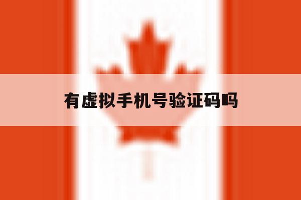 有虚拟手机号验证码吗 有虚拟手机号验证码吗