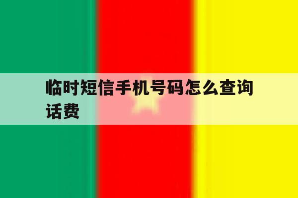临时短信手机号码怎么查询话费 临时短信手机号码怎么查询话费