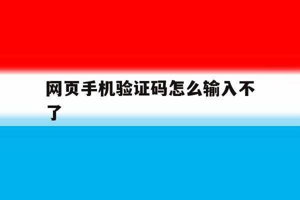 网页手机验证码怎么输入不了 网页手机验证码怎么输入不了