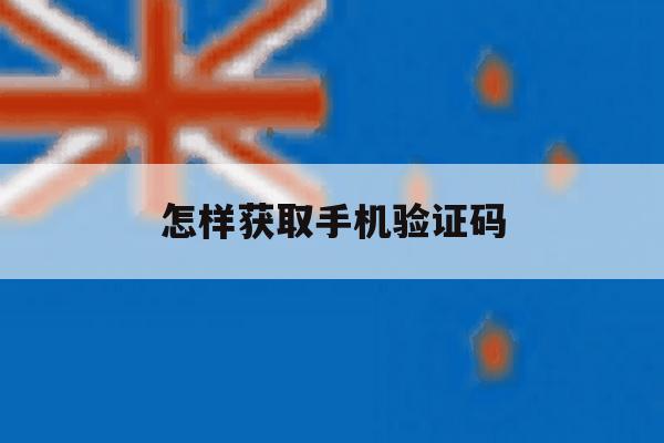 怎样获取手机验证码 怎样获取手机验证码