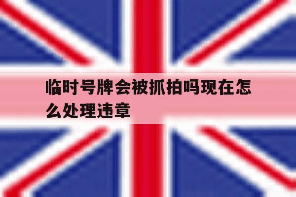 临时号牌会被抓拍吗现在怎么处理违章 临时号牌会被抓拍吗现在怎么处理违章