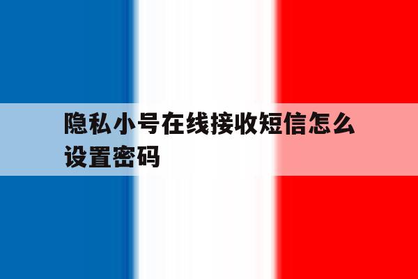 隐私小号在线接收短信怎么设置密码 隐私小号在线接收短信怎么设置密码