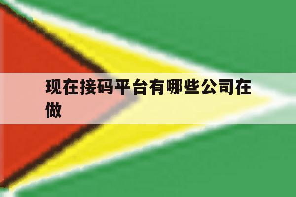 包含现在接码平台有哪些公司在做的词条 包含现在接码平台有哪些公司在做的词条