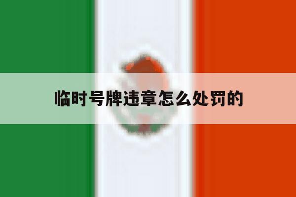 临时号牌违章怎么处罚的 临时号牌违章怎么处罚的