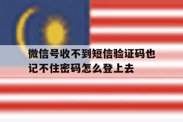 微信号收不到短信验证码也记不住密码怎么登上去的简单介绍 微信号收不到短信验证码也记不住密码怎么登上去的简单介绍