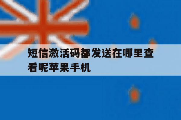 关于短信激活码都发送在哪里查看呢苹果手机的信息 关于短信激活码都发送在哪里查看呢苹果手机的信息
