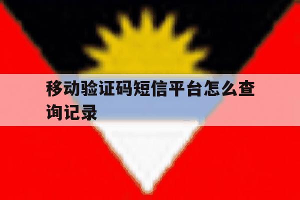 移动验证码短信平台怎么查询记录 移动验证码短信平台怎么查询记录