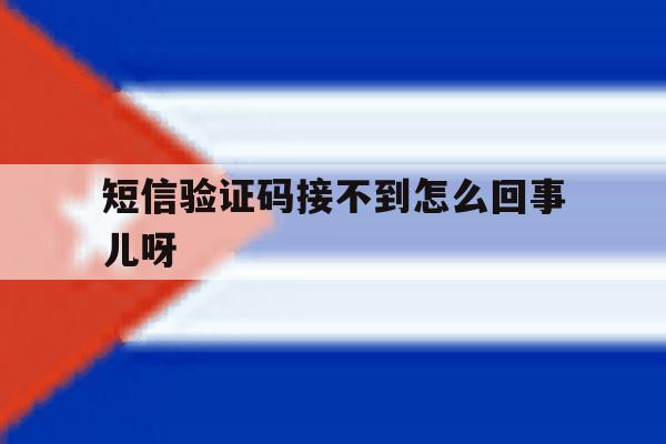 短信验证码接不到怎么回事儿呀 短信验证码接不到怎么回事儿呀
