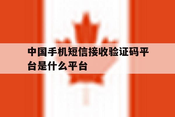 中国手机短信接收验证码平台是什么平台 中国手机短信接收验证码平台是什么平台