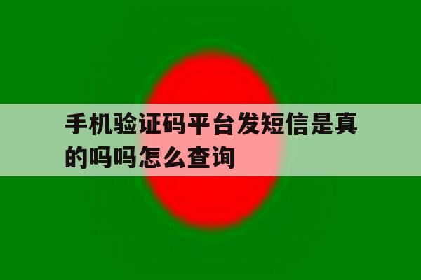 手机验证码平台发短信是真的吗吗怎么查询的简单介绍 手机验证码平台发短信是真的吗吗怎么查询的简单介绍