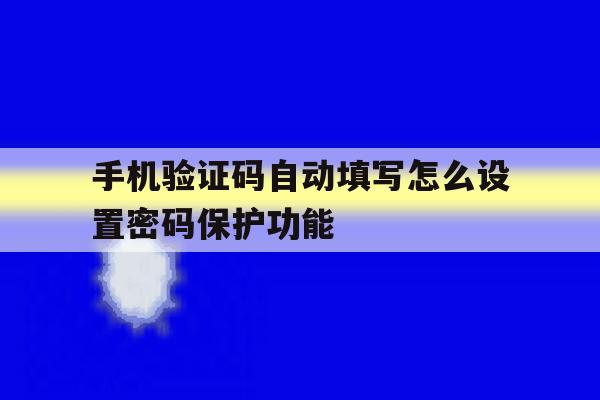 手机验证码自动填写怎么设置密码保护功能 手机验证码自动填写怎么设置密码保护功能