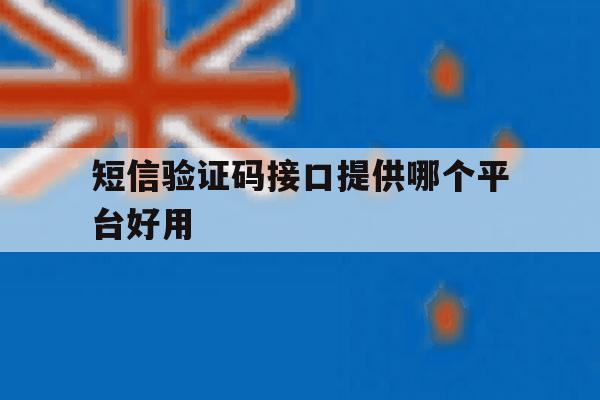 短信验证码接口提供哪个平台好用 短信验证码接口提供哪个平台好用