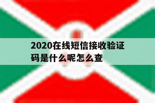 2020在线短信接收验证码是什么呢怎么查 2020在线短信接收验证码是什么呢怎么查