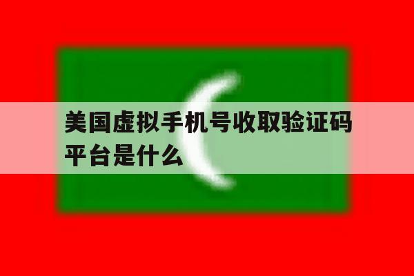 美国虚拟手机号收取验证码平台是什么 美国虚拟手机号收取验证码平台是什么