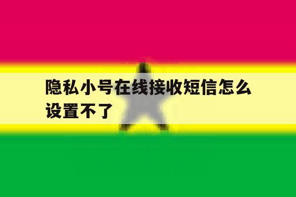 隐私小号在线接收短信怎么设置不了 隐私小号在线接收短信怎么设置不了