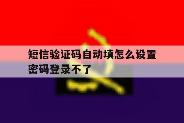关于短信验证码自动填怎么设置密码登录不了的信息