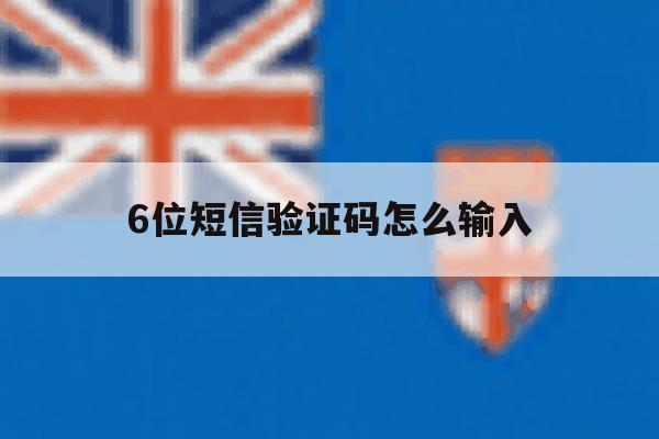 6位短信验证码怎么输入 6位短信验证码怎么输入