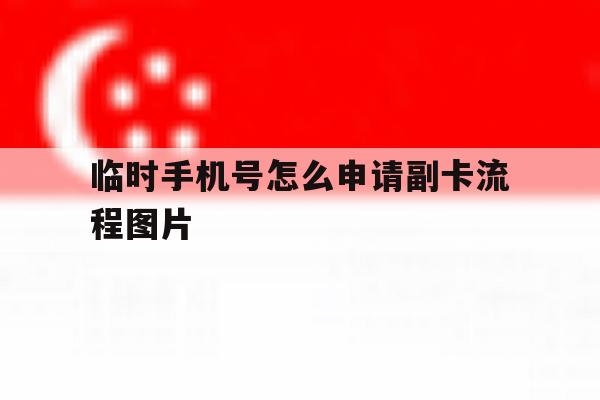 临时手机号怎么申请副卡流程图片 临时手机号怎么申请副卡流程图片