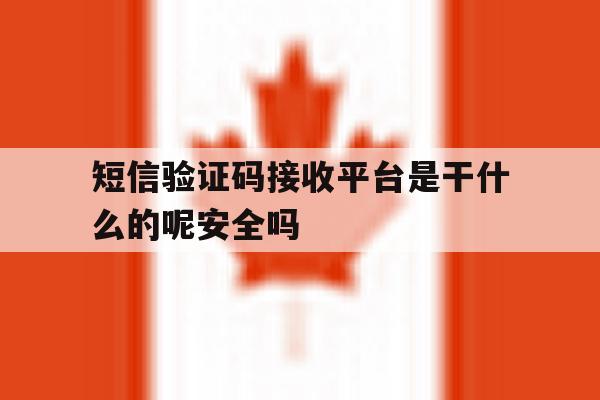 短信验证码接收平台是干什么的呢安全吗 短信验证码接收平台是干什么的呢安全吗