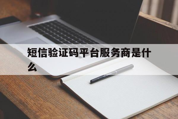 短信验证码平台服务商是什么 短信验证码平台服务商是什么