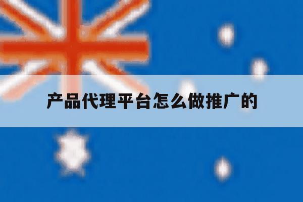 产品代理平台怎么做推广的 产品代理平台怎么做推广的