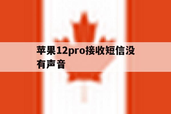 苹果12pro接收短信没有声音 苹果12pro接收短信没有声音