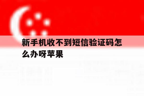 新手机收不到短信验证码怎么办呀苹果 新手机收不到短信验证码怎么办呀苹果