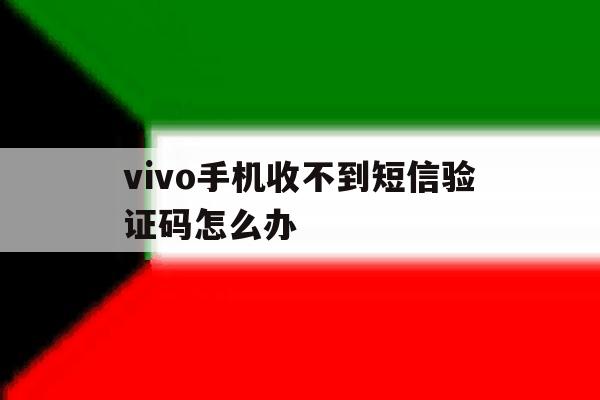 vivo手机收不到短信验证码怎么办 vivo手机收不到短信验证码怎么办