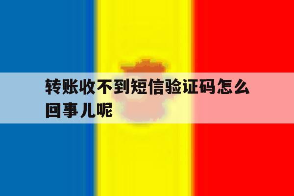 转账收不到短信验证码怎么回事儿呢 转账收不到短信验证码怎么回事儿呢