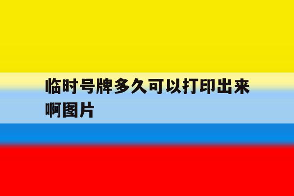 临时号牌多久可以打印出来啊图片的简单介绍 临时号牌多久可以打印出来啊图片的简单介绍