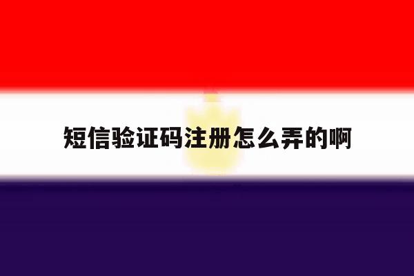 短信验证码注册怎么弄的啊