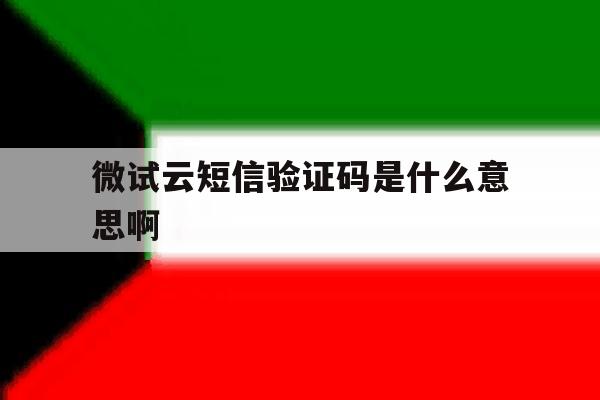 微试云短信验证码是什么意思啊 微试云短信验证码是什么意思啊