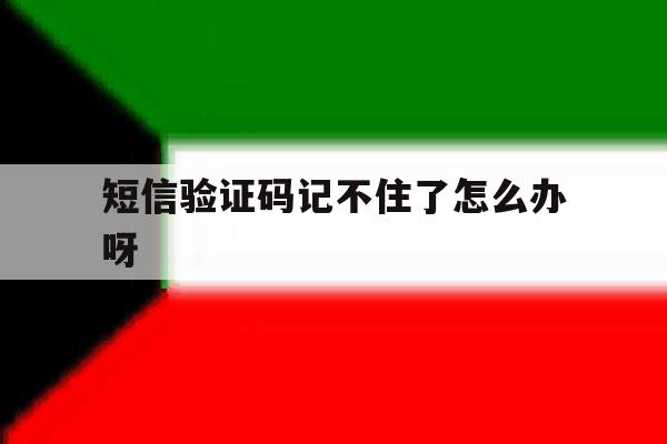 短信验证码记不住了怎么办呀 短信验证码记不住了怎么办呀